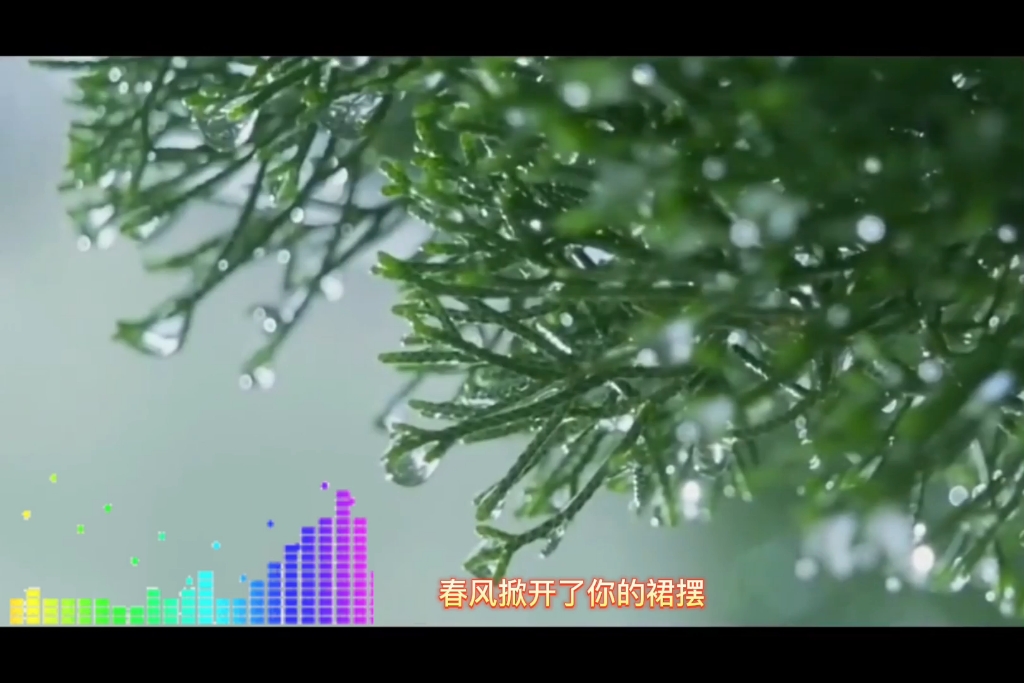 [图]花花世界（DJ名龙版）