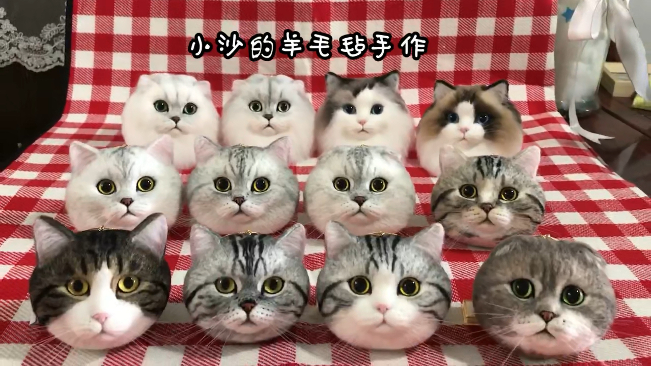 大户人家的猫咪们~来图定制羊毛毡猫咪头像哔哩哔哩bilibili