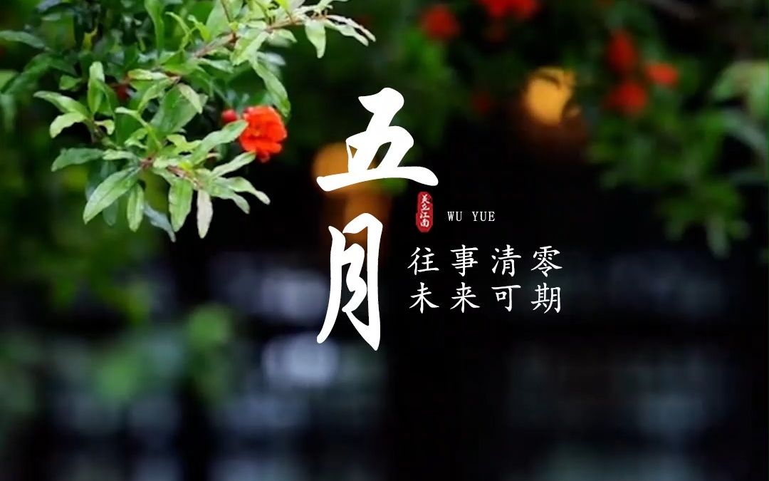 今天是5月1日,也是劳动节,从这一天开始,五月的美好,纷至沓来.哔哩哔哩bilibili