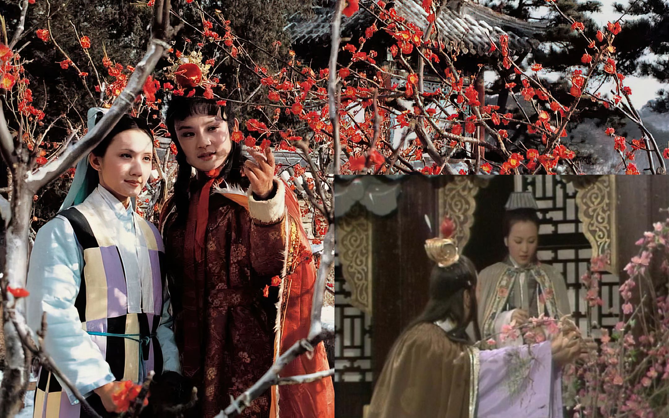 看过佳视版的访妙玉乞红梅,才明白87版红楼梦的白雪红梅有多美