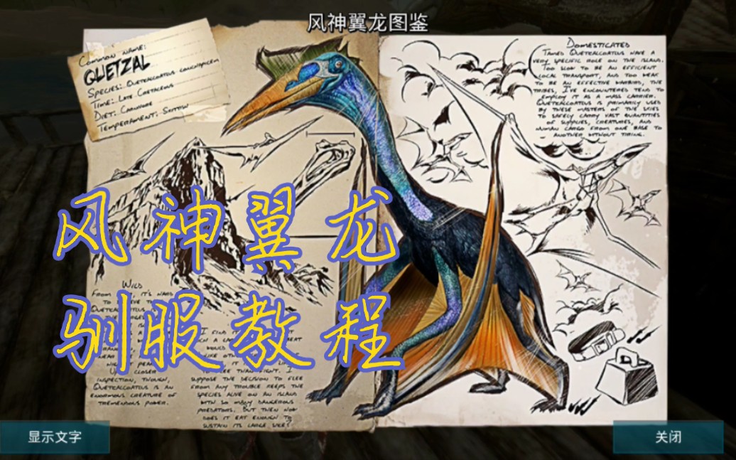 小何方舟生存进化手游实况第十期驯服空中堡垒风神翼龙