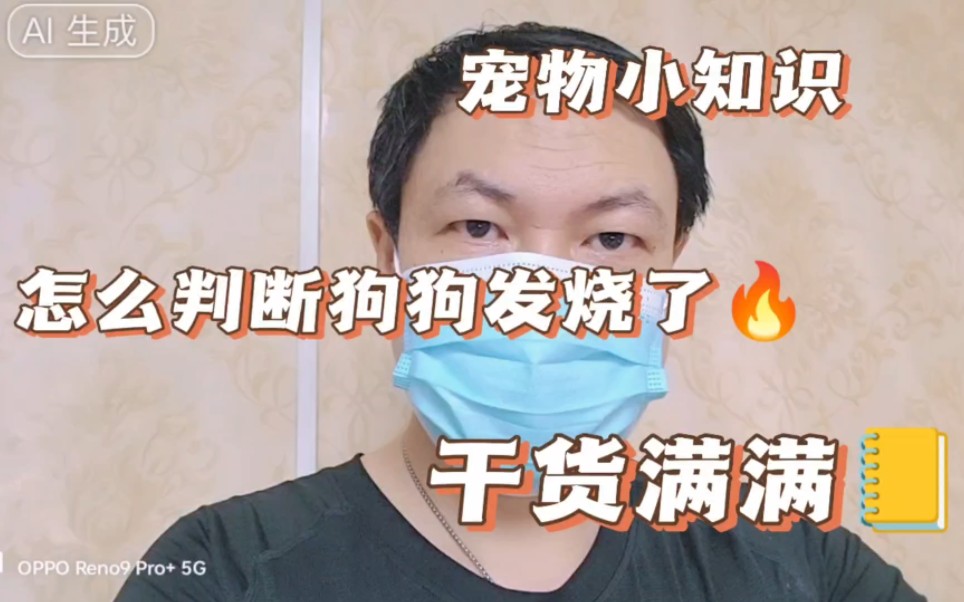 怎么判断狗狗发烧了?你会给家里狗狗测体温吗?哔哩哔哩bilibili