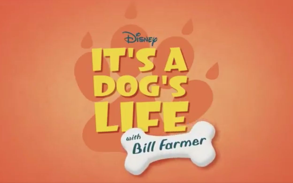 [图][更新第9集][英语英字][Disney+纪录片]It's A Dog's Life