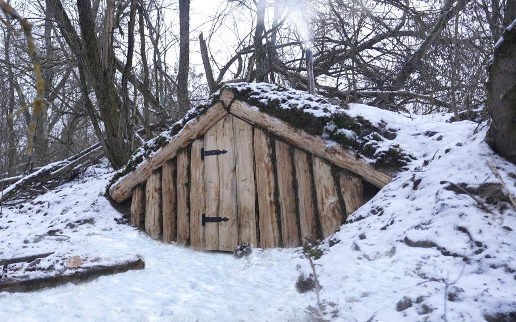 野外建造,男人用21天时间徒手建造坚固荒野木屋,深冬来临前顺利入住