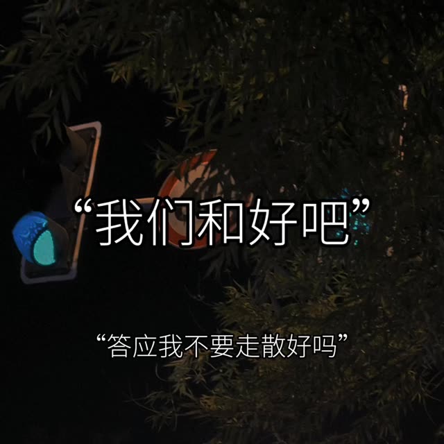"我们和好吧,万一我们相遇是上辈子求来的呢,答应我,这辈子不要走散好