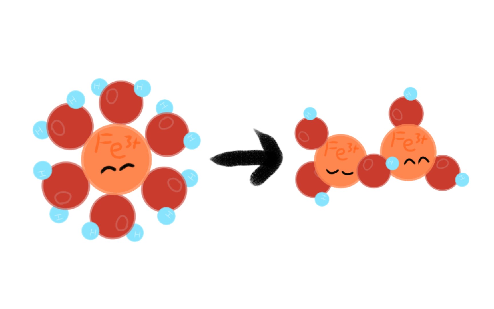[动画]部分过渡金属阳离子的水解反应