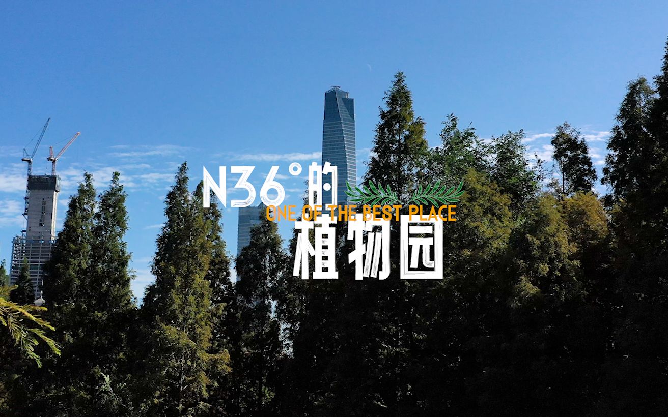 《N36Ⱗš„植物园》植物园里的生物多样性哔哩哔哩bilibili