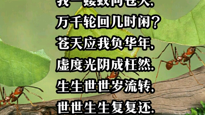 我一蝼蚁问苍天,万千轮回几时闲?