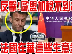 Télécharger la video: 反击！欧盟加税不到24小时，法国在华这些生意全黄了！