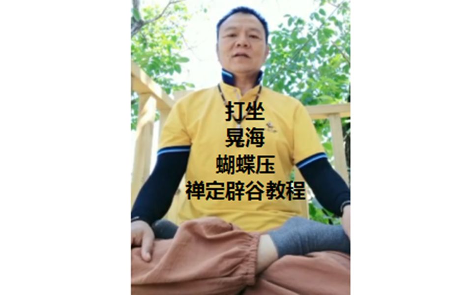 打坐的正确方法,晃海,蝴蝶压是禅定辟谷教程基础哔哩哔哩bilibili