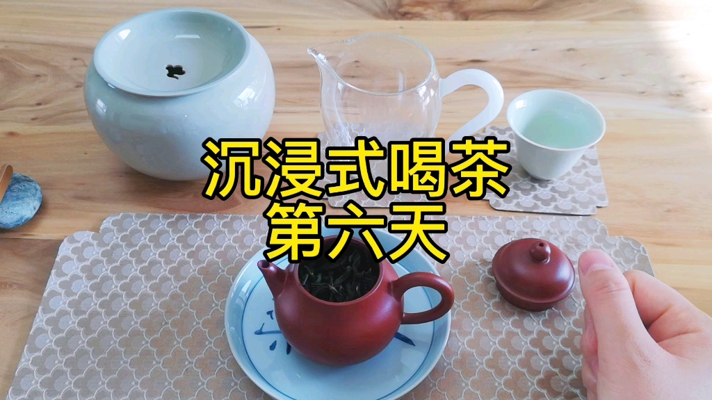 沉浸式喝茶第六天,“愿充凤凰茶山客,不作杏花醉里仙”.哔哩哔哩bilibili