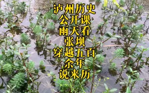 Descargar video: 泸州历史公开课：雨天看张坝，穿越五百年时空，为你讲述它的来历