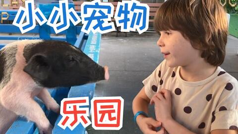搜索 哔哩哔哩 つロ干杯 Bilibili