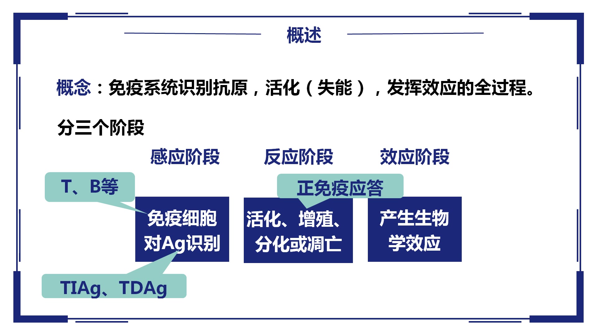 免疫应答的概念和过程哔哩哔哩bilibili