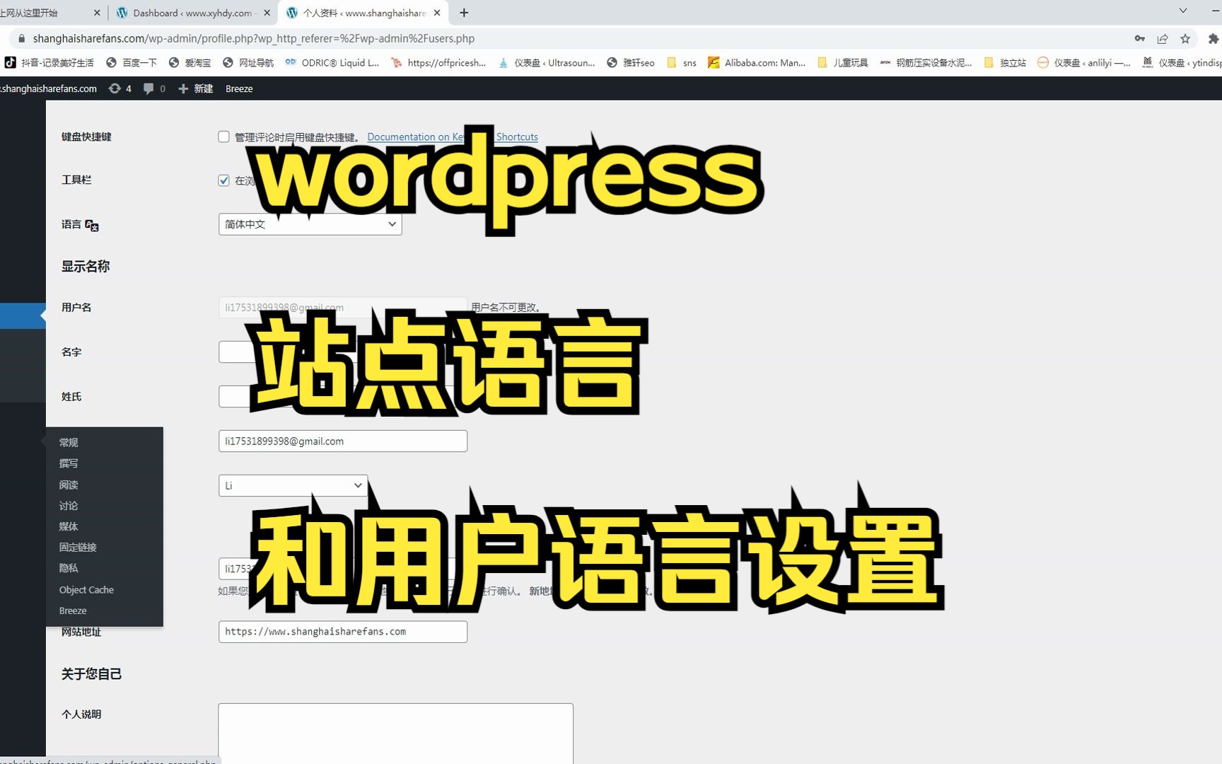 【WordPress外贸独立站建站教程】wordpress站点语言和用户语言设置哔哩哔哩bilibili