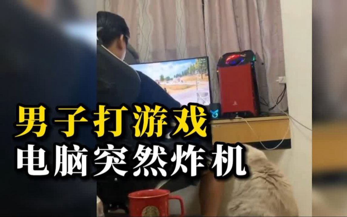 男子打游戏时,电脑负载过大突然炸机:猫和人都吓了一跳 (2)