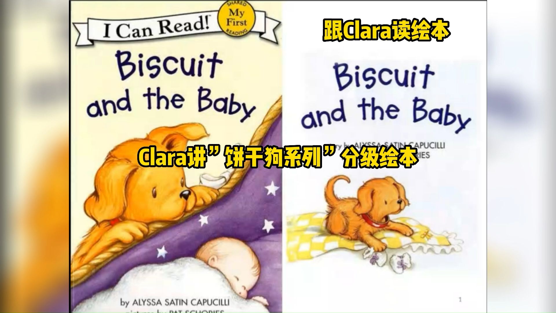 biscuitbear图片