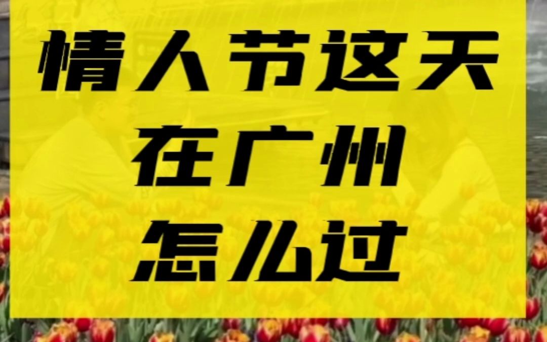 [图]2月14情人节这天你们在广州怎么过？他们这么过#猎德大桥#粤海关#太古仓#广州文化馆#浪漫音乐餐吧#海心沙音乐喷泉#广州新闻#广州情人节@bilibili