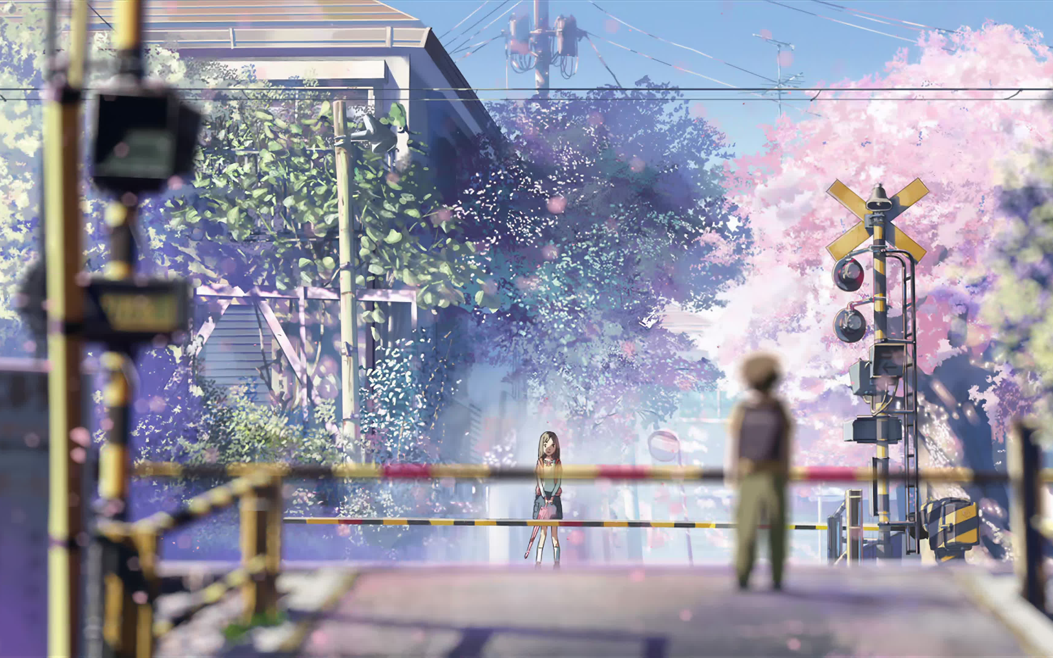 [秒速5厘米 4k]one more time, one more chance