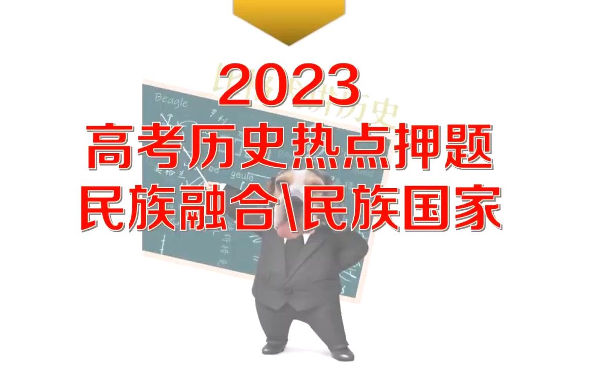 【高考历史热点押题3】民族融合\民族国家哔哩哔哩bilibili