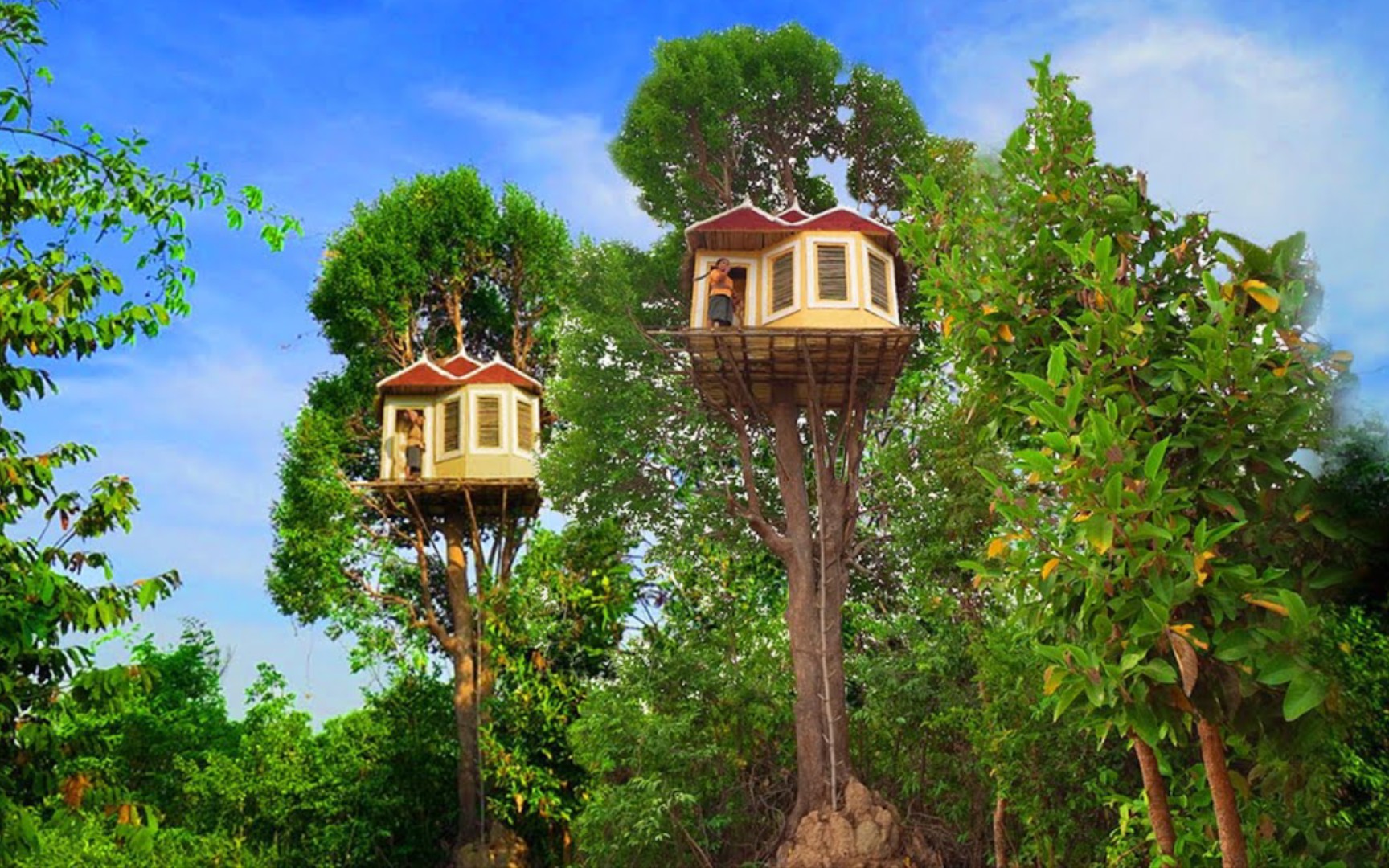 树屋建造全过程,使用原始技术建造庇护所小屋,野外生存技术