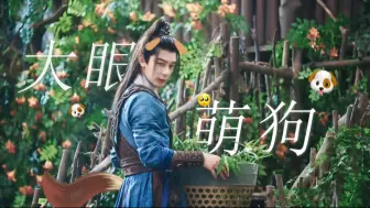 Descargar video: 司 空 长 风 你 是 一 只 可 爱 的 小 鸡 毛