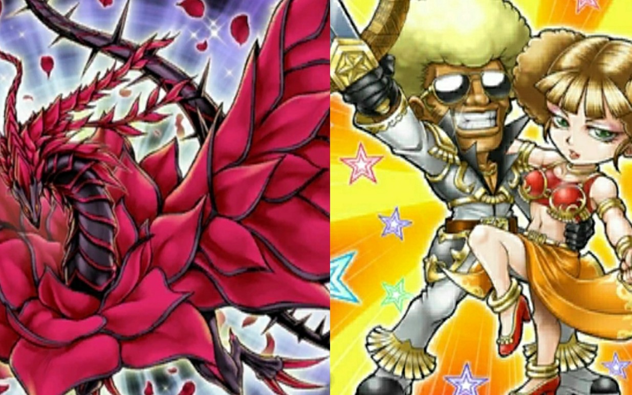 游戏王dl黑蔷薇龙炸翻全场新娱乐卡组介绍