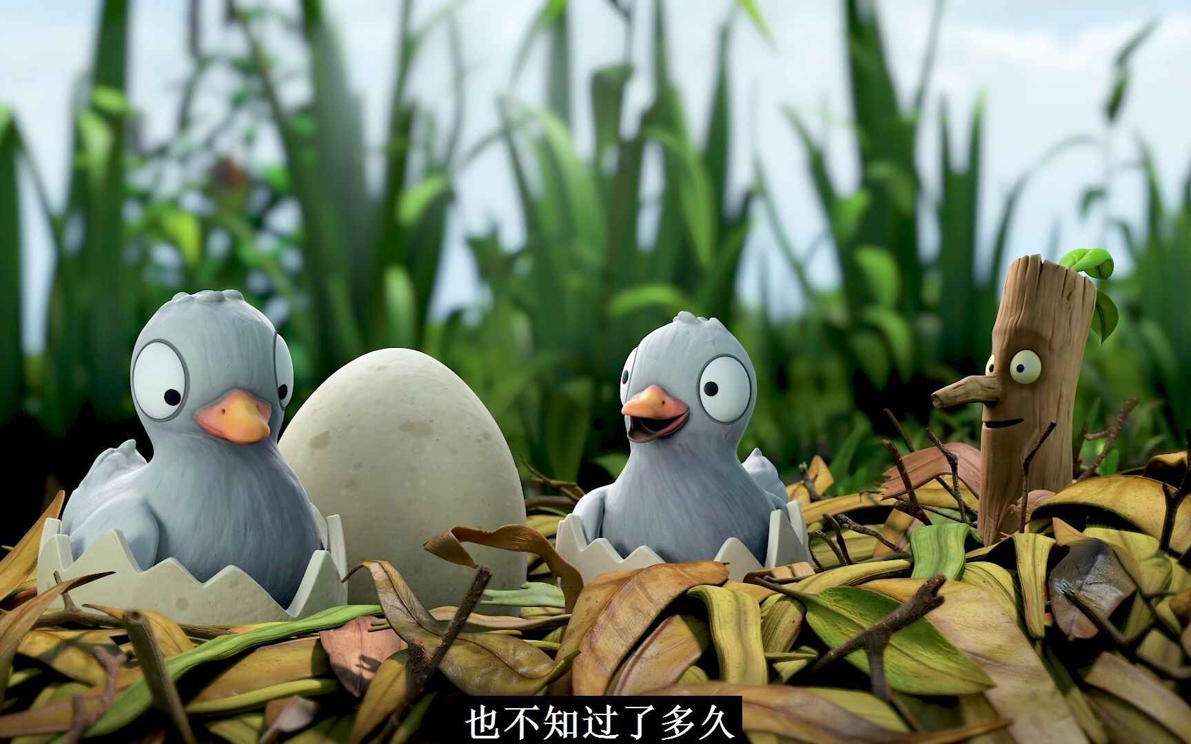 活动  男人看了就想回家的治愈动画片《树枝人》