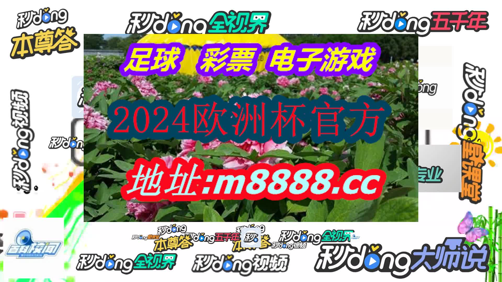 捷报即时比分足球(哔哩哔哩)651期