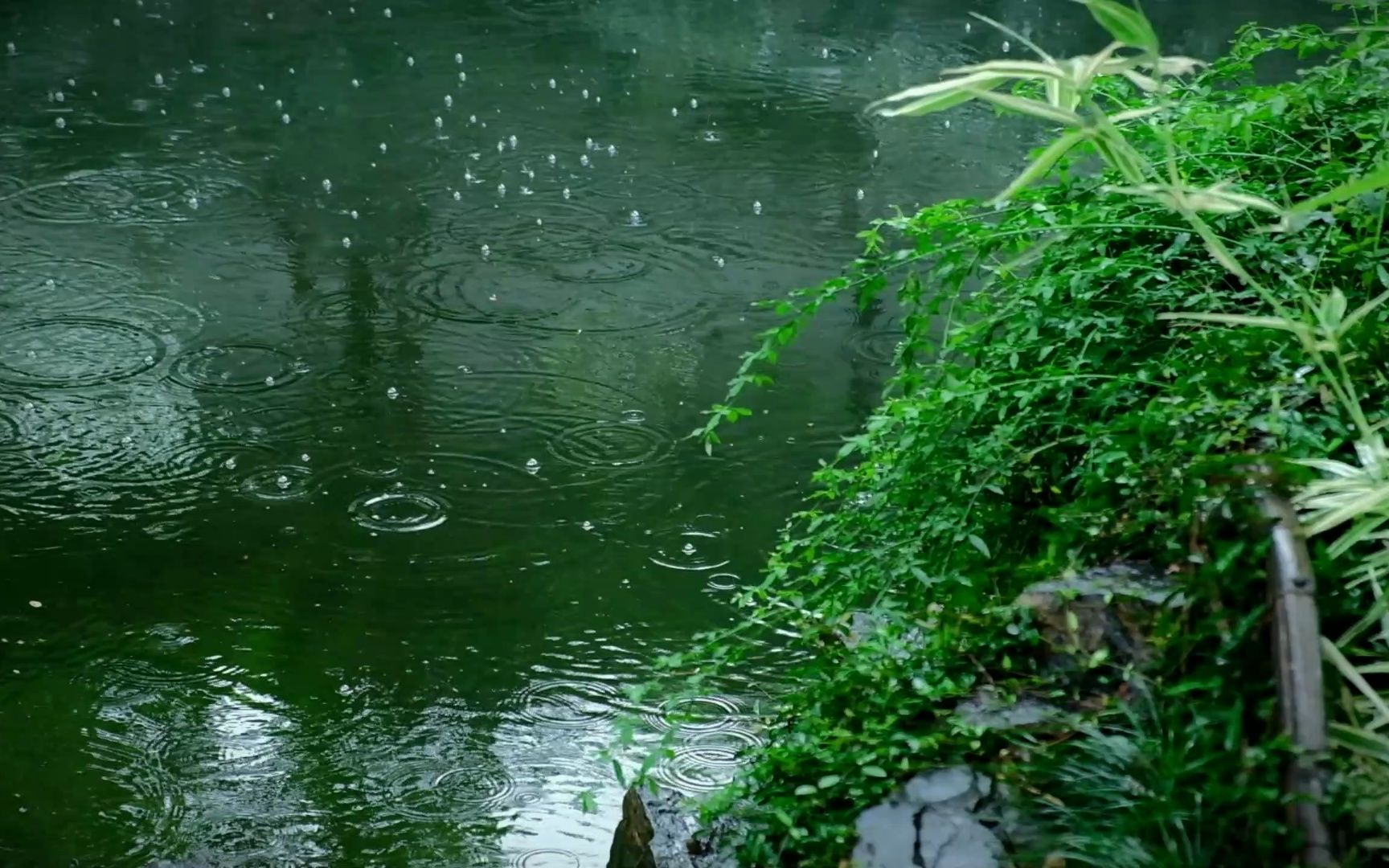 苏州园林沧浪亭听雨|梅子黄时雨哔哩哔哩bilibili