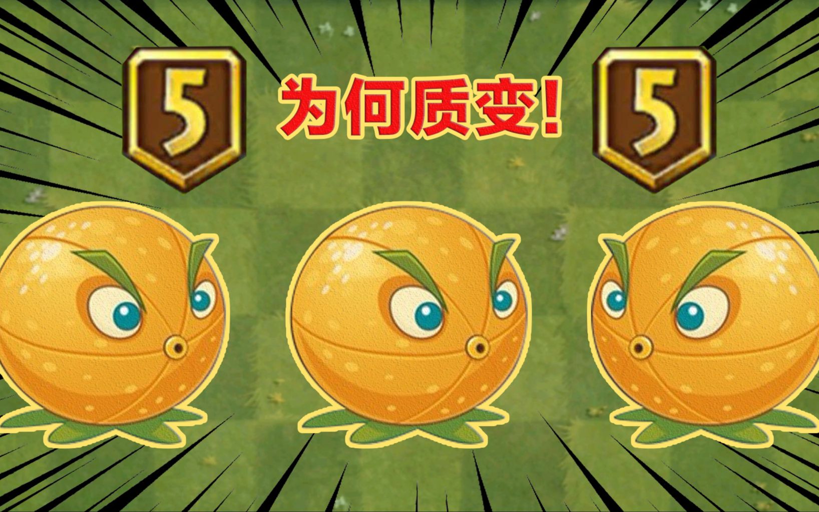 pvz2:五级质变的超强金卡,小名"充钱柚子"!简短介绍为何质变