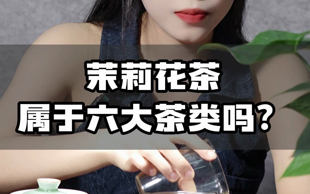 你知道,茉莉花茶属于哪一茶类嘛?哔哩哔哩bilibili