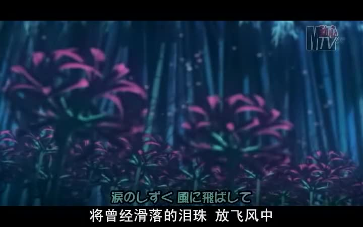 [图]动心MTV「隐之王」片尾曲 HIKARI