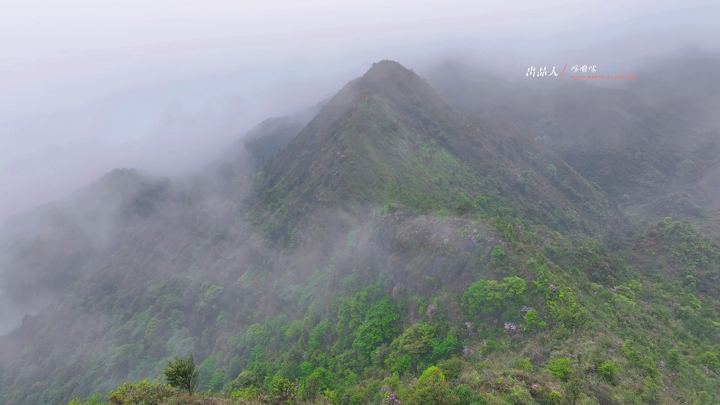 烟雨朦胧下的草尾山尖,开满杜鹃花的山头,绿油油的草地随意打滚,支上三三两两的帐篷,约上好友畅谈诗和理想.#旅行推荐官#景点打卡#旅行大玩家哔...