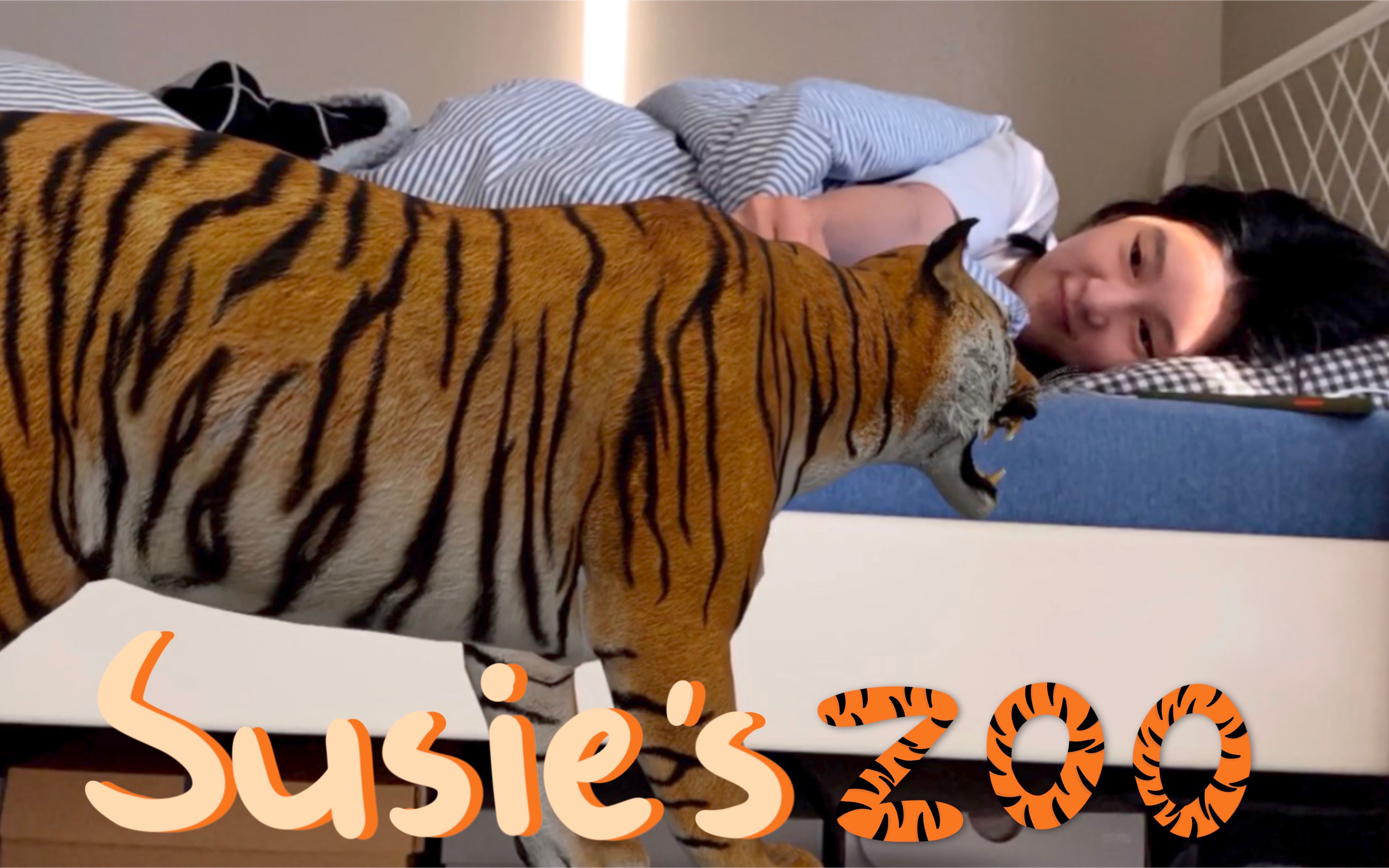 我养老虎了!我开动物园了!