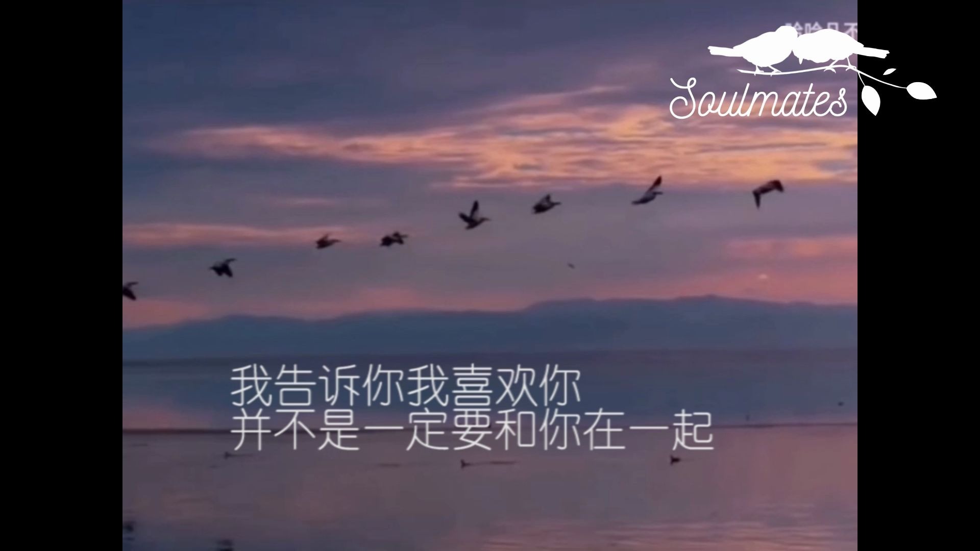 弄文雅苑我告诉你我喜欢你并不一定要和你在一起