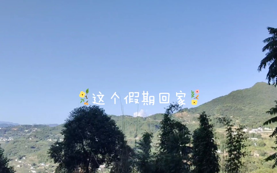 乡间美景,林荫大道——这个假期回家去看看吧!哔哩哔哩bilibili