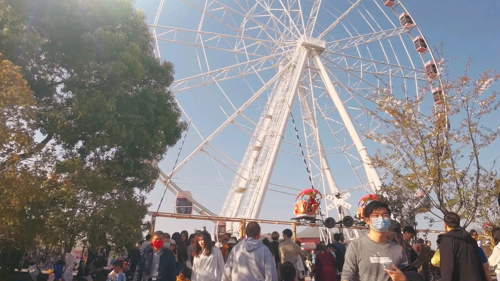 晚桜,顧村公園