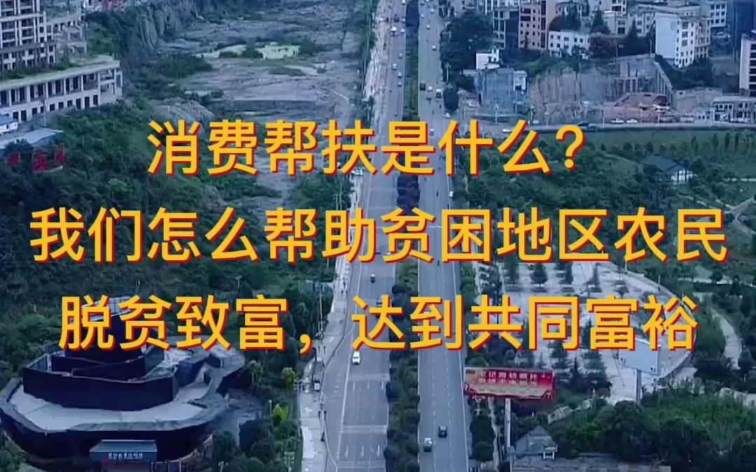 消费帮扶是什么?我们怎么帮助贫困地区农民脱贫致富,达到共同富裕哔哩哔哩bilibili