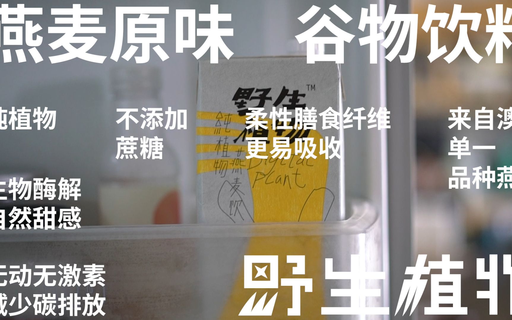 野生植物燕麦奶—友好无负担的饮用体验