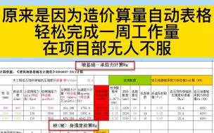 下载视频: 原来是有造价算量自动表格，轻松完成一周工作量，在项目部无人不服