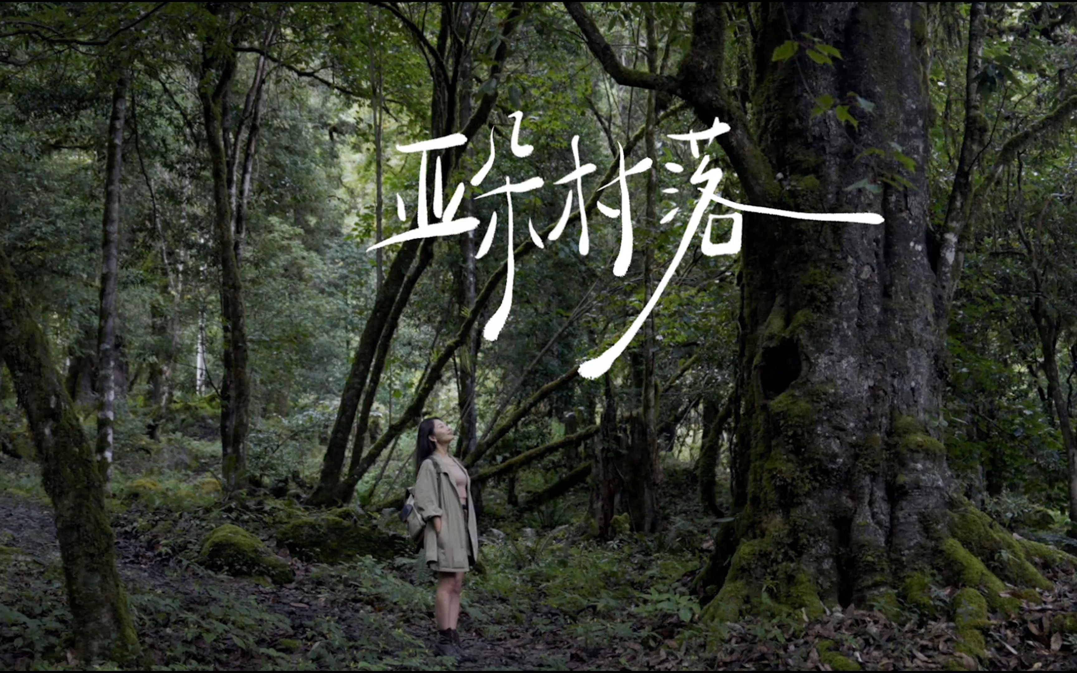 如果你累了,就去彩云之南的亚朵村走走吧,在那份自然的宁静里 做个好