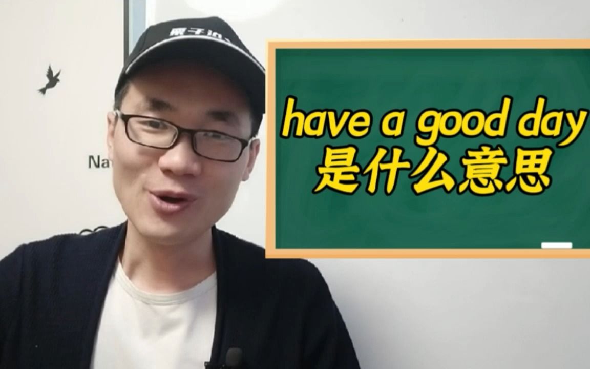 有同学问:have a good day是什么意思?哔哩哔哩bilibili