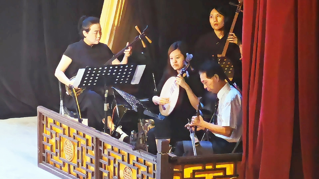 14天津滨湖剧院青年京剧老生演员万琳《空城计》"我本是卧龙岗散淡的