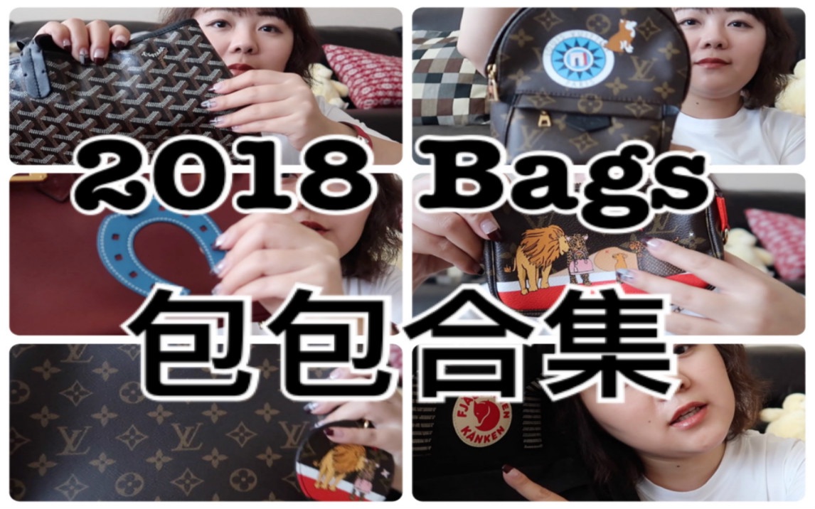 【REVIEW】2018包包合集:GOYARD TOTE|HERMES BIRKIN25|LV小书包/麻将包/洗漱包|KANKEN CLASSIC双肩包.哔哩哔哩bilibili