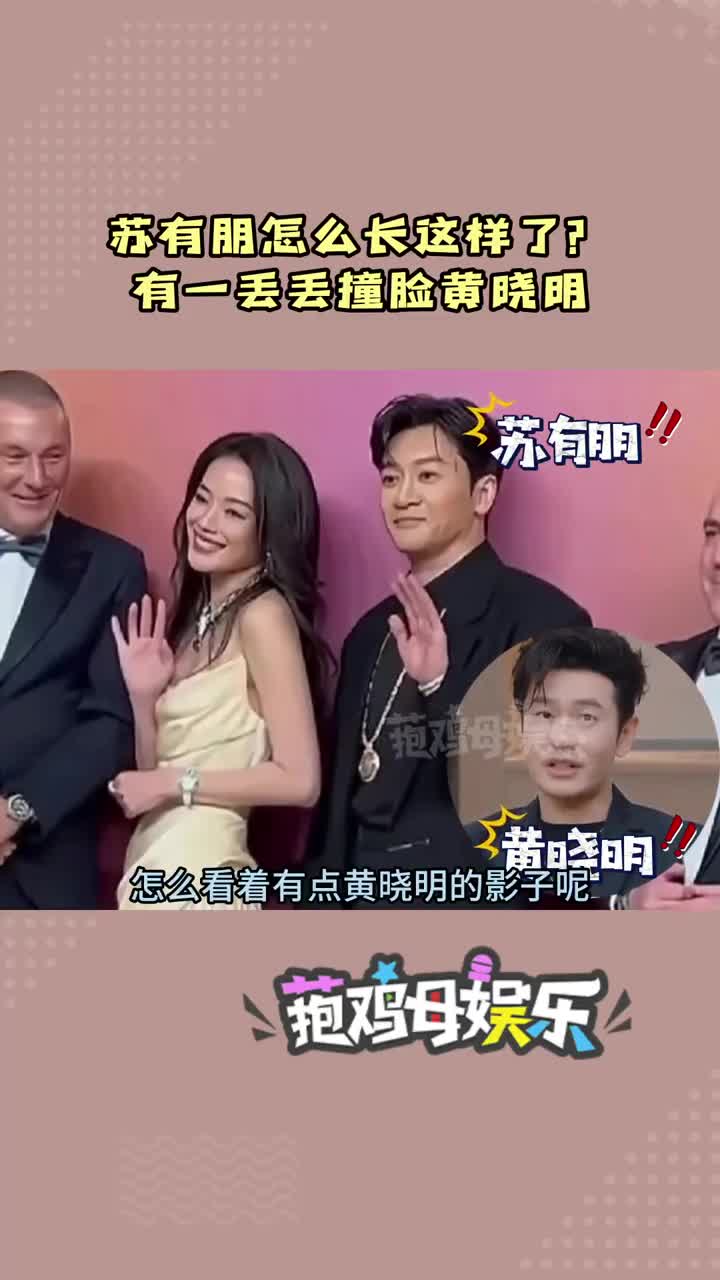 有一丢丢撞脸黄晓明#苏有朋 #黄晓明