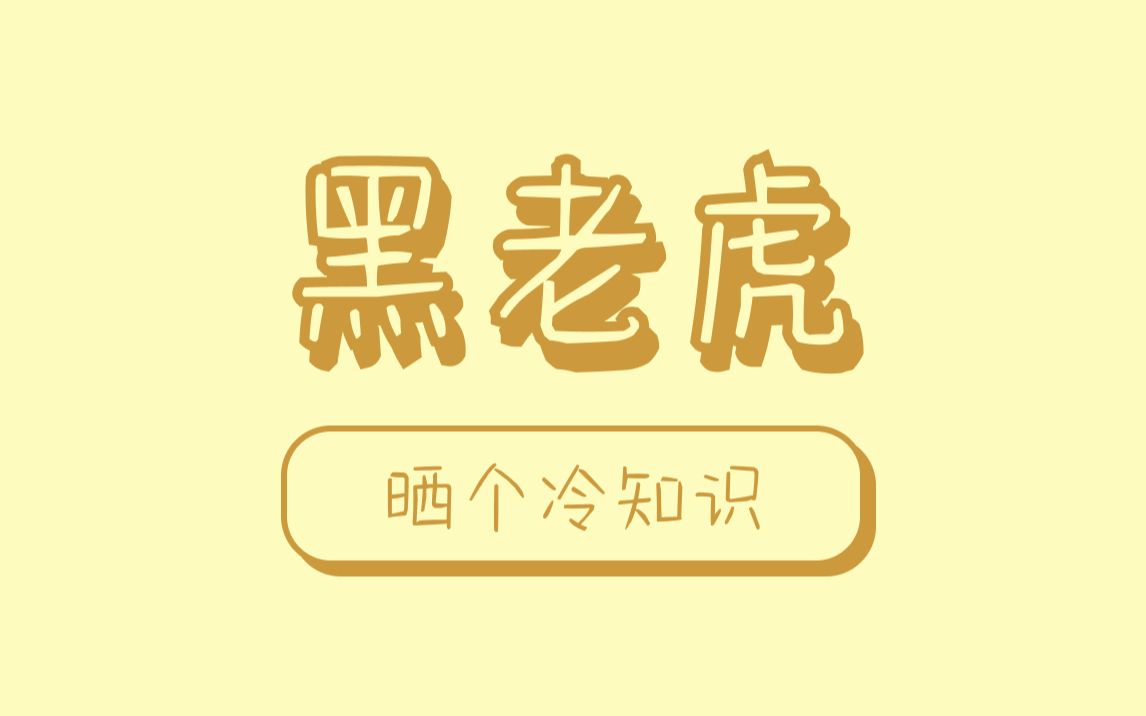 目前全球仅剩黑虎也只有6只,一只价值上亿元哔哩哔哩bilibili