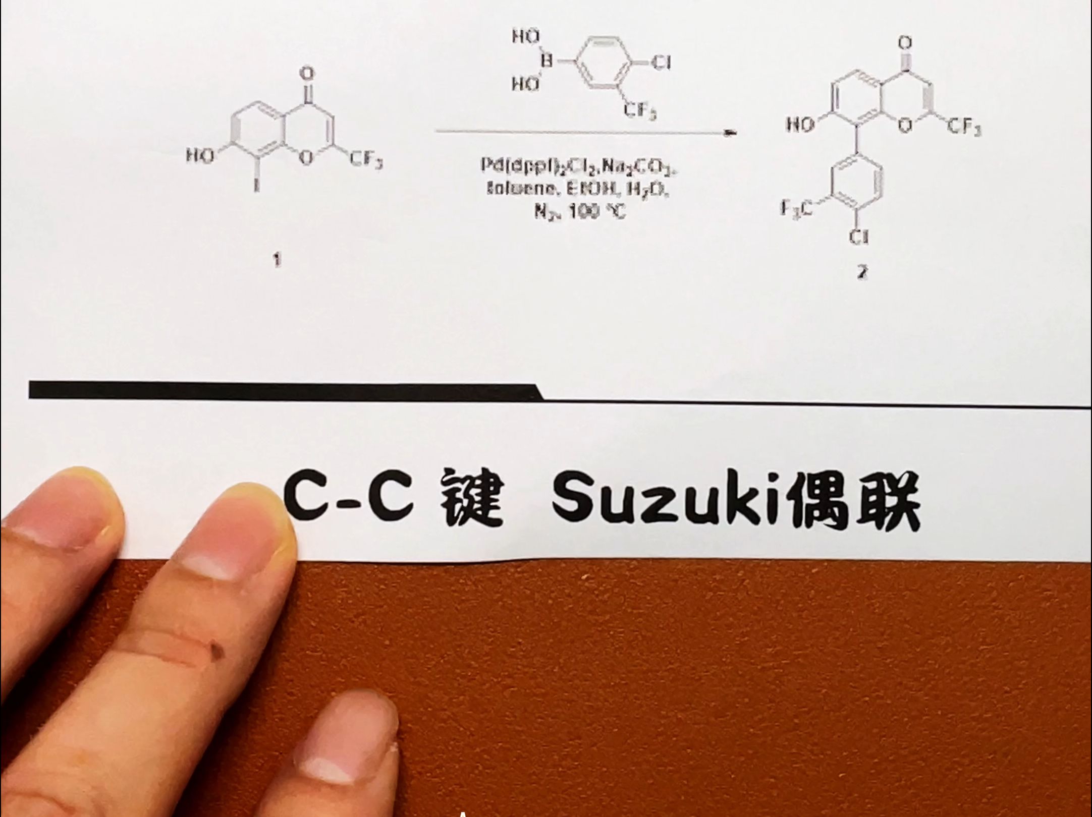 人名反应Suzuki偶联哔哩哔哩bilibili