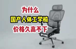 Download Video: 行内人揭秘人体工学椅价格昂贵的真正原因