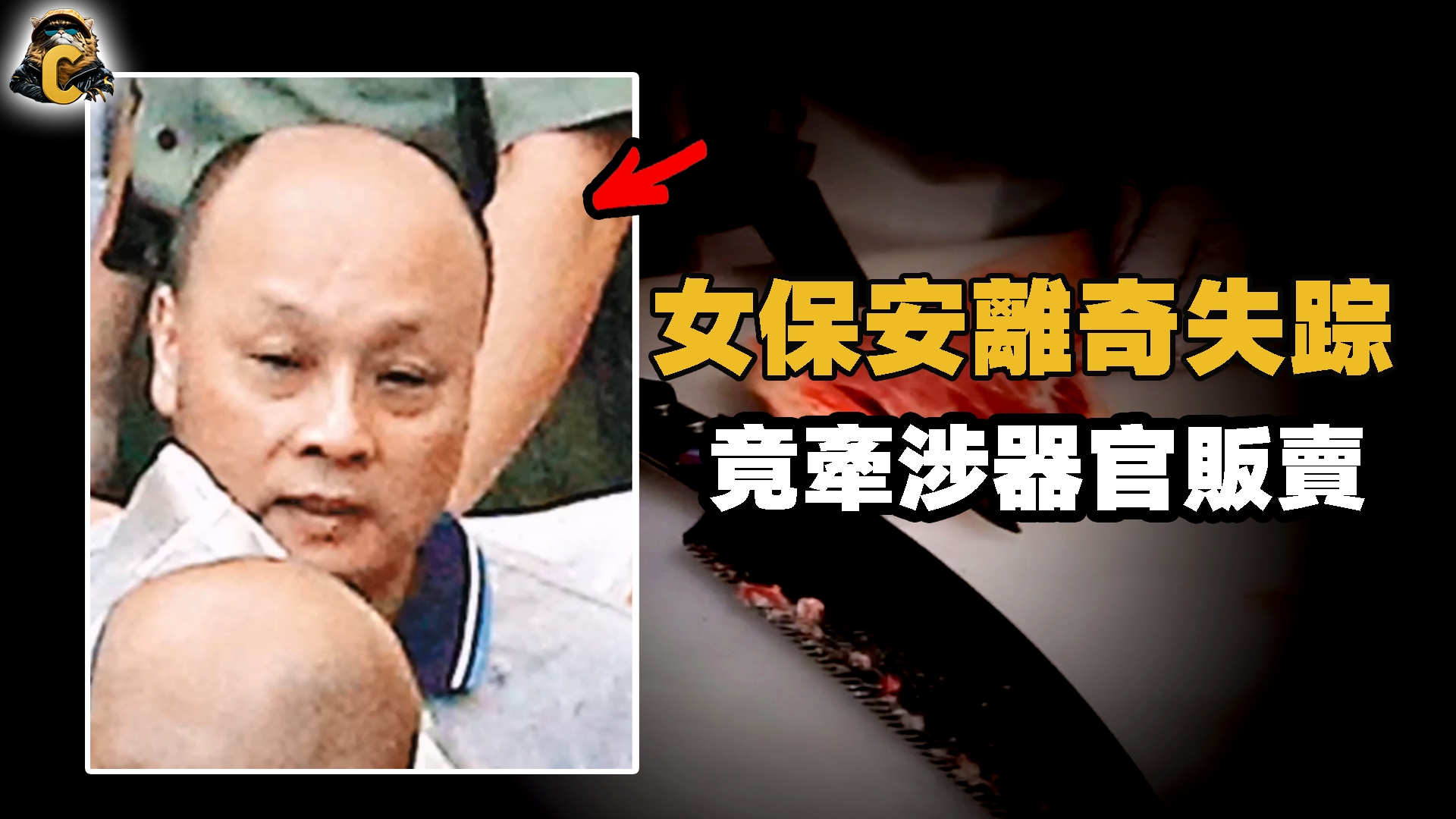 香港奇案:女保安离奇失踪,当中竟牵涉器官贩卖?哔哩哔哩bilibili